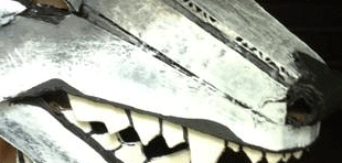 Linden Wolf - working 2